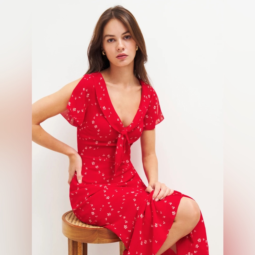 Brand new Reformation Talleen Dress